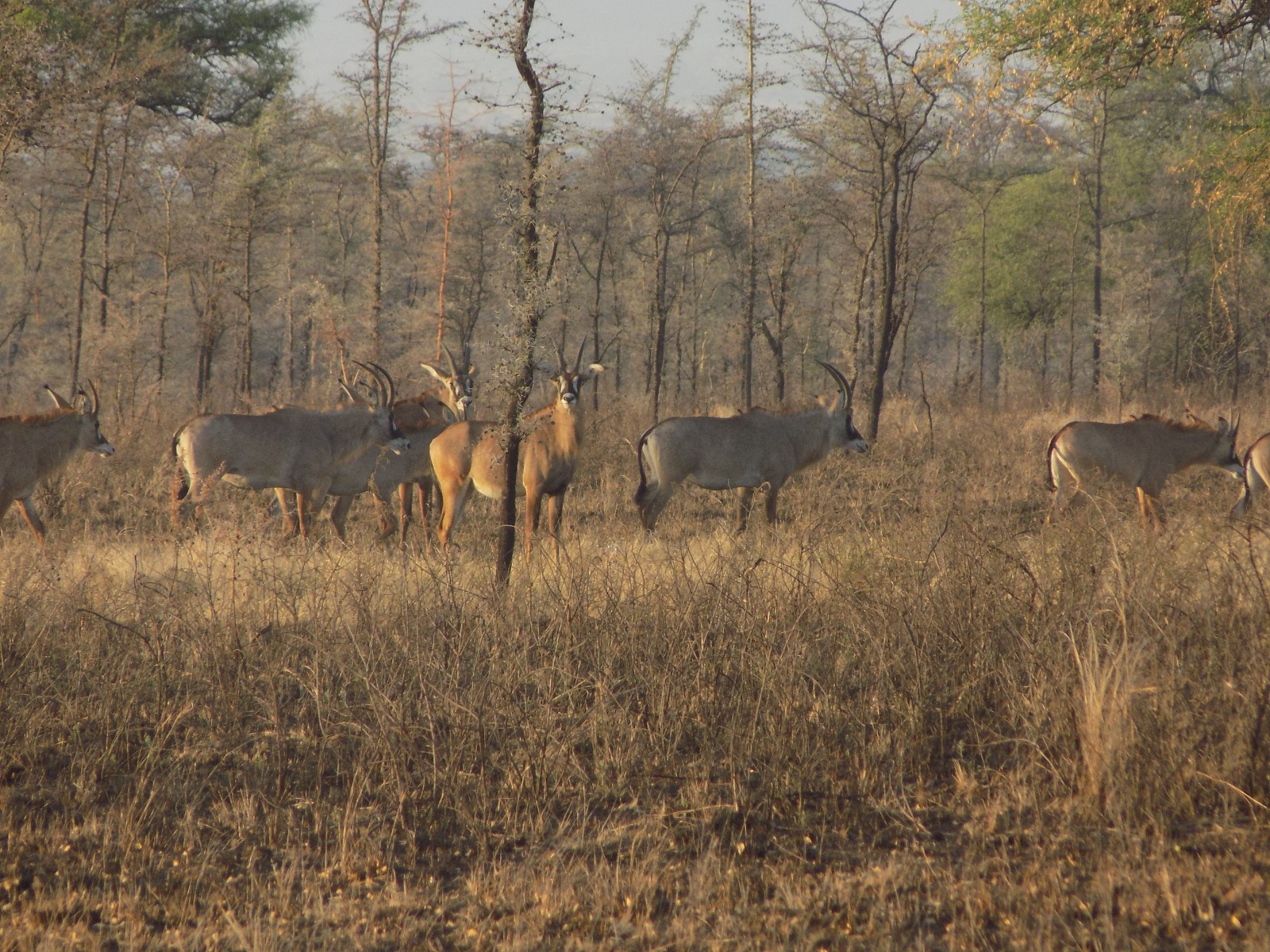 Lake Mburo National Park